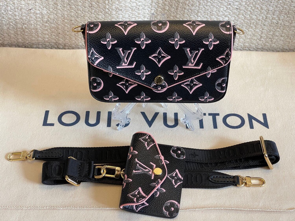 Louis Vuitton Limited Edition Monogram Canvas Fall For You Felicie Strap &  Go, Louis Vuitton Handbags