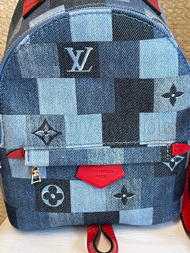 New Condition / Limited Edition / Louis Vuitton Palm Springs Mini