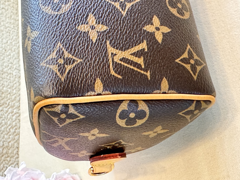 Speedy 20 Bandouliere Monogram