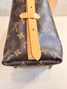 Carry All PM Monogram