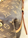 Carry All PM Monogram