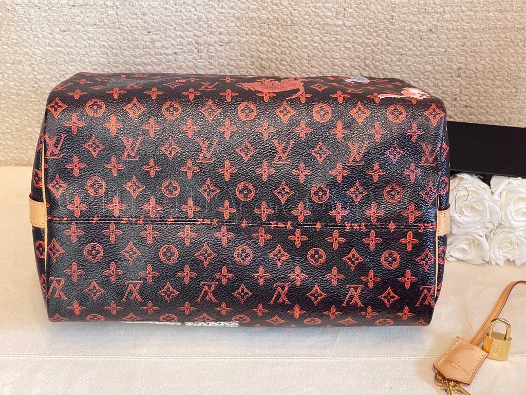 ❌SOLD❌ Louis Vuitton Catogram Speedy 30 Bandouliere bag Grace Coddington  Limited Edition - Reetzy