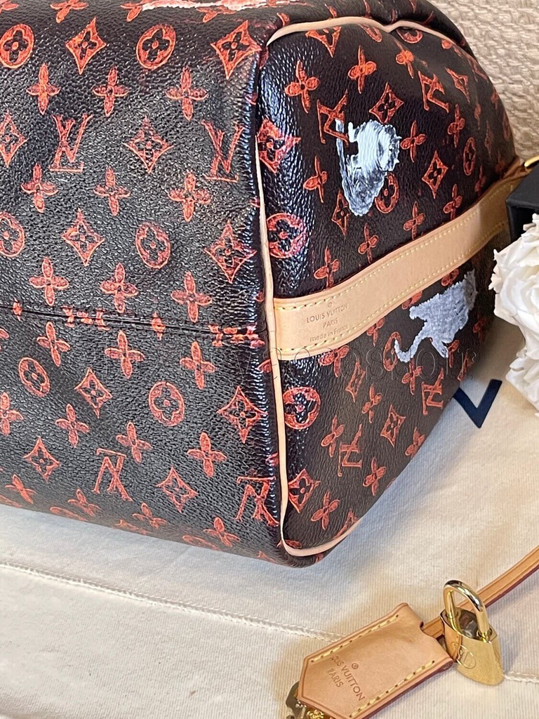 LOUIS VUITTON Catogram Speedy Bandouliere 30 1171238