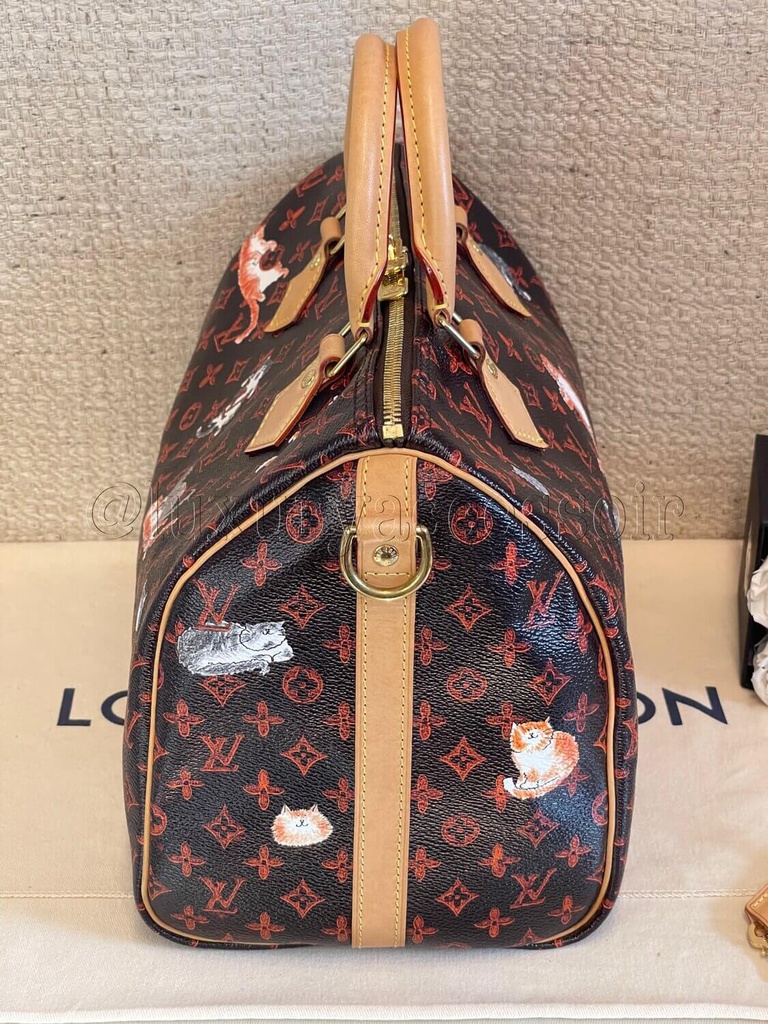 LOUIS VUITTON Catogram Speedy Bandouliere 30 1171238