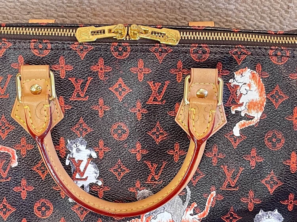 ❌SOLD❌ Louis Vuitton Catogram Speedy 30 Bandouliere bag Grace