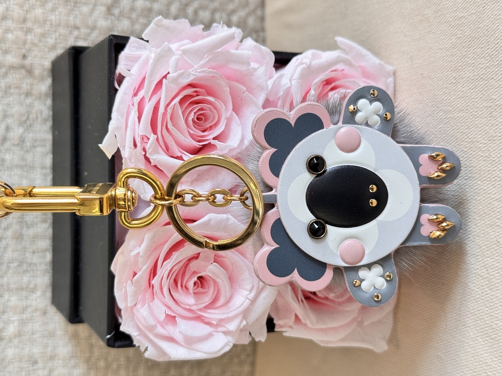 Taschenschmuck KOALA